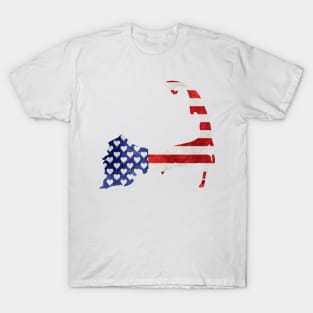 Cape Cod Patriotic T-Shirt